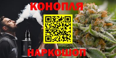 Альфа ПВП Ивантеевка