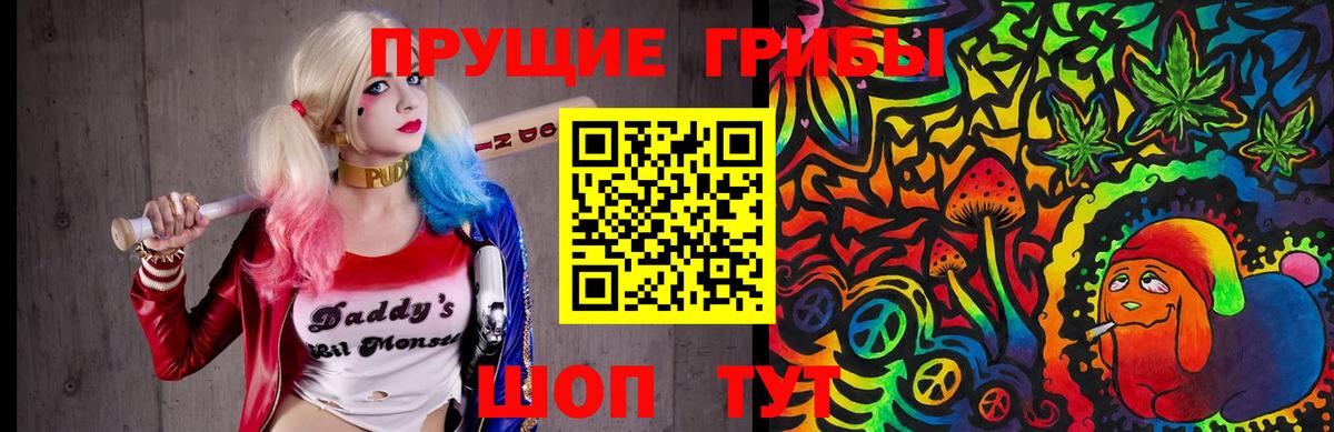 Солнечногорск  Галлюциногенные грибы MAGIC MUSHROOMS  Вход с VPN 