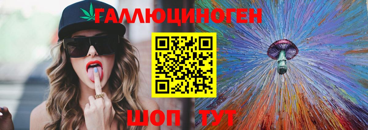 Псилоцибиновые грибы Psilocybe Солнечногорск